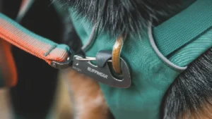 50601 frontrangedaypack keyfeatures leashattachment