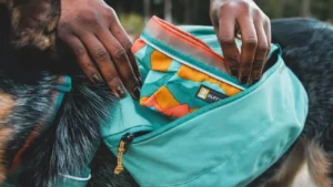 50601 frontrangedaypack keyfeatures organization