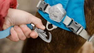 flagline leash loackable crux clip