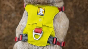 Полегшена шлейка для собак Ruffwear Hi & Light™ Lichen Green Жовта з рожевим 1 hi light harness lightweight