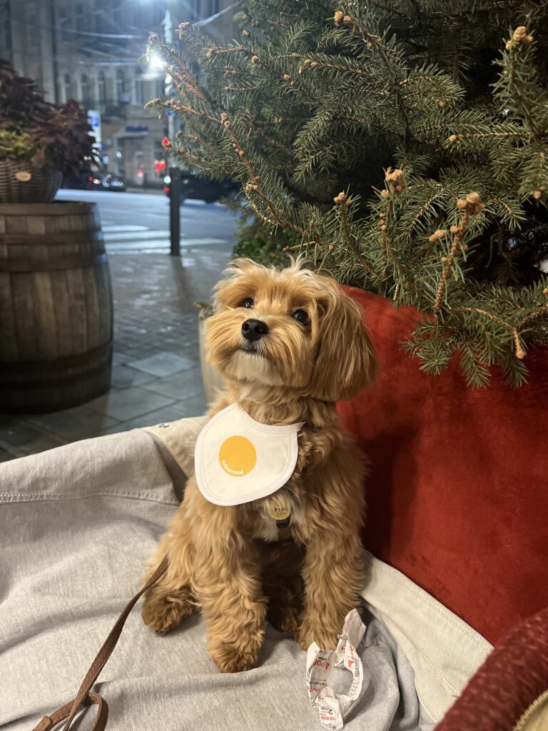 Зображення #1 від Анна