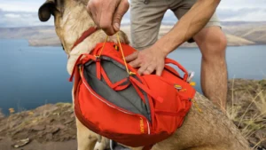 Шлейка-рюкзак для собак Ruffwear Palisades Red Sumac Червоний Сумах 2 palisades compression system