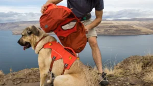 Шлейка-рюкзак для собак Ruffwear Palisades Red Sumac Червоний Сумах 1 palisades removable saddlebags