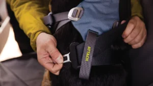 Автомобільна шлейка для собак Ruffwear Load Up™ Slate Blue Сланцевий блакитний 1 ss23 loadupharness keyfeatures universalattachment