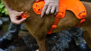 web jpg 30104 web master harness blaze orange fly fishing 42