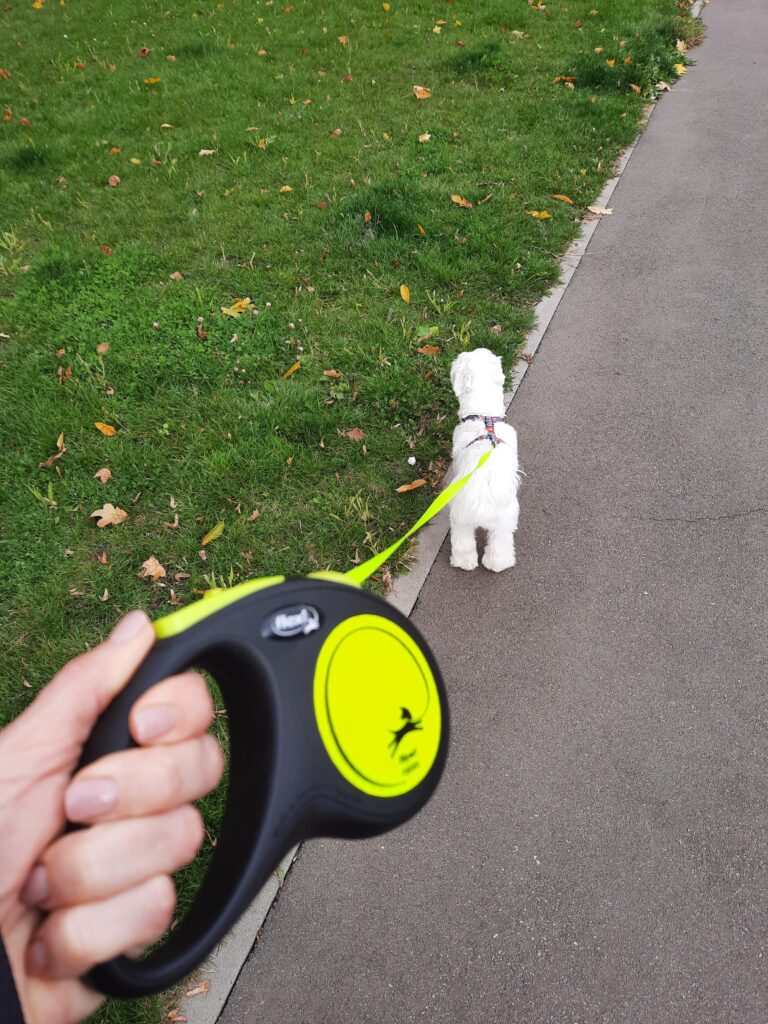 Зображення #1 від Тетяна Д.