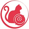 cat senior3.jpg