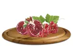 happyone antioxidants.png amigovet 1
