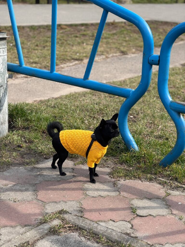 Зображення #1 від Соня