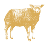 lamb 500x500 illustration