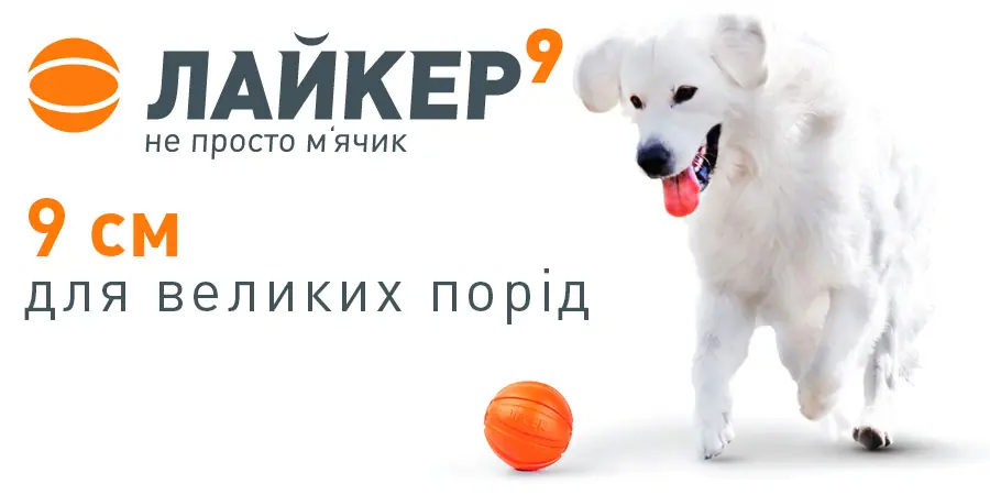 main9 ua2 amigovet