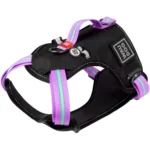 Шлея для собак WAUDOG Nylon з QR паспортом, безпечна, металева пряжка-фастекс, фіолетова