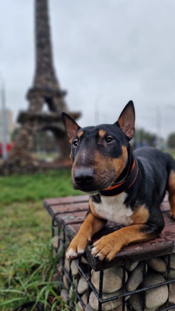 Персональний Париж - медіа 1 з 1