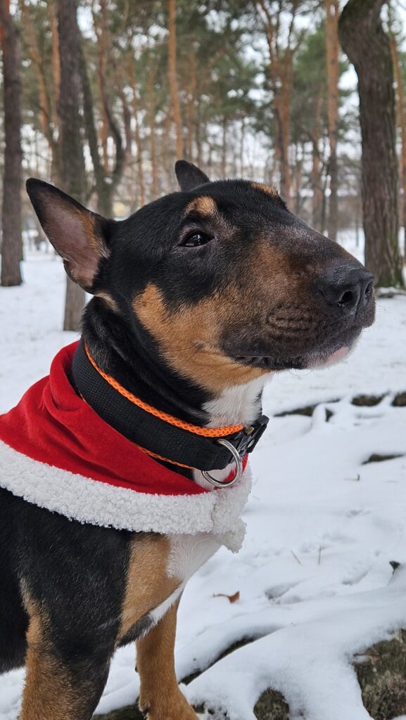 Року пасує ця зима - медіа 1 з 3