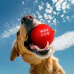 Іграшка Waudog Fun Red Ball м'ячик для собак, 7 см
