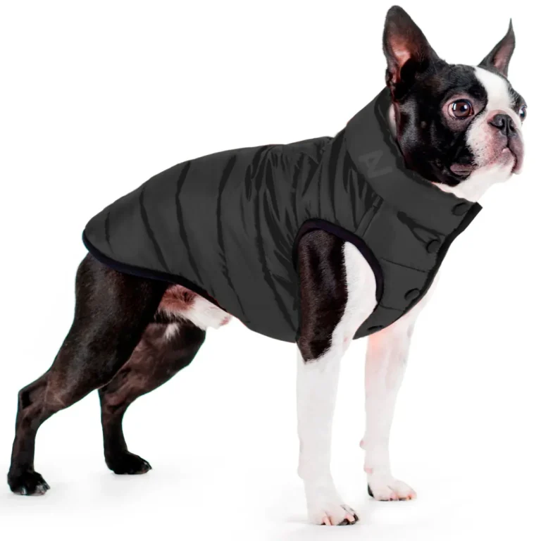 Куртка AiryVest ONE одностороння чорна для собак