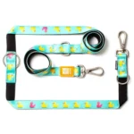 Багатофункціональний повідець-перестібка Max & Molly Multi-Function Leash Ducklings з принтом Каченята, 2 м