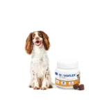 Movoflex (Мовофлекс) Virbac - харчова добавка для собак, для підтримки рухливості та комфорту суглобів, 30 таб. 2 movoflex medium dogs amigovet