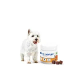 Movoflex (Мовофлекс) Virbac - харчова добавка для собак, для підтримки рухливості та комфорту суглобів, 30 таб. 1 movoflex small dogs amigovet