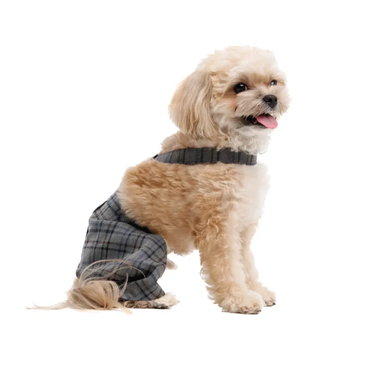 Штани Pet Fashion Leon для собак