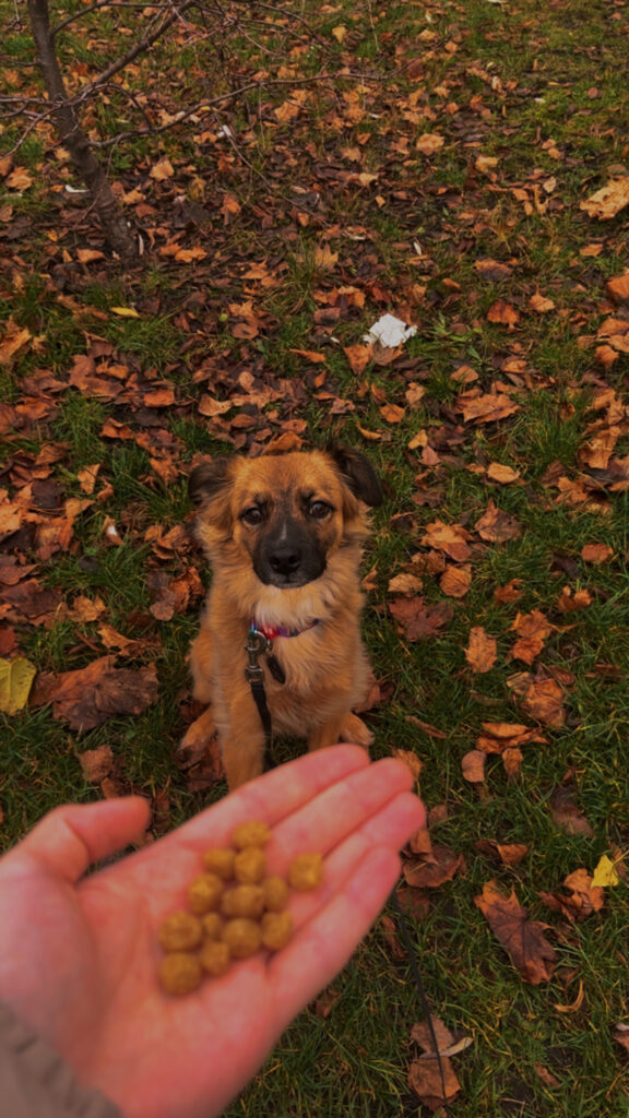 Історія про те як мала розумна діва в грудні в виду полізла - медіа 2 з 4