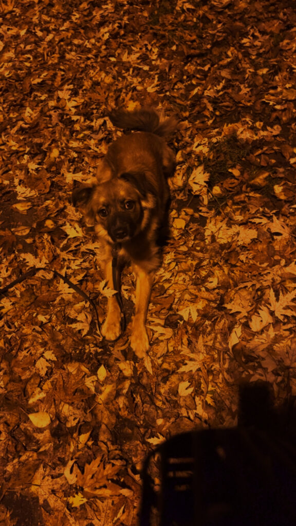 Історія про те як мала розумна діва в грудні в виду полізла - медіа 4 з 4