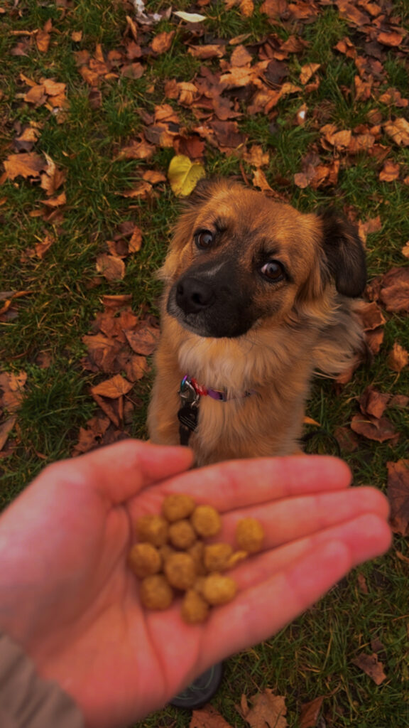Історія про те як мала розумна діва в грудні в виду полізла - медіа 3 з 4