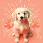 Цуценя золотистого ретривера з кремовою шерстю уважно сидить і дивиться вперед