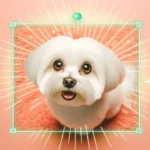 Собака в обіймах господаря, мова тіла собак