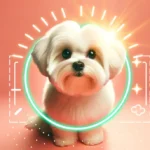 Білий пухнастий собака з бородою дивиться в камеру на кораловому фоні