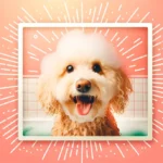 Собака під час купання з шампунем