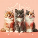 Три пухнасті кошенята різних кольорів сидять поруч і дивляться вперед з цікавістю