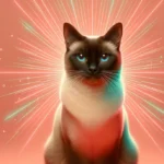 Сіамський кіт із шоколадними пойнтами та блакитними очима сидить і дивиться в камеру