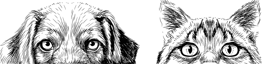 hero illustration min