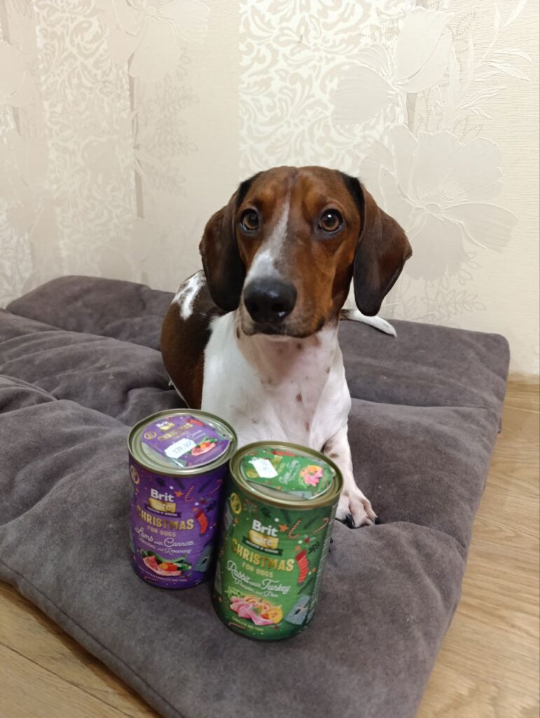 #бокс берні - медіа 3 з 7