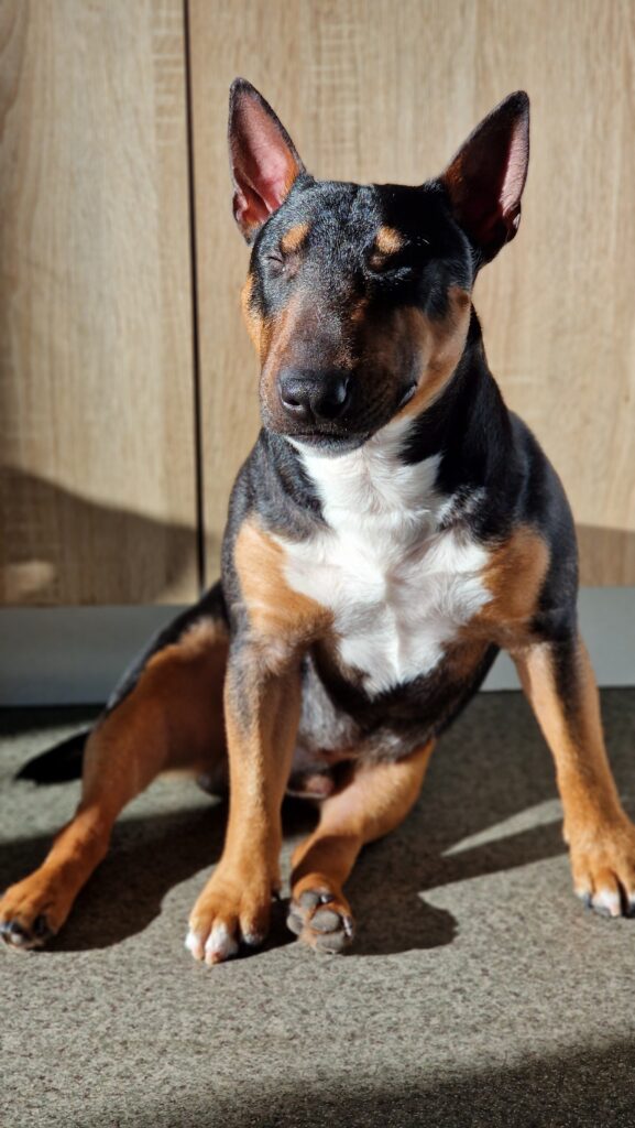 Нарешті весна - медіа 1 з 1