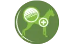 bc icon 5 amigovet