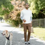 Чоловік гуляє з лабрадором на повідці в зеленому парку сонячного дня