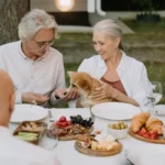 Корґі їсть з рук господаря за столом з фруктами, ягодами та іншими стравами на свіжому повітрі