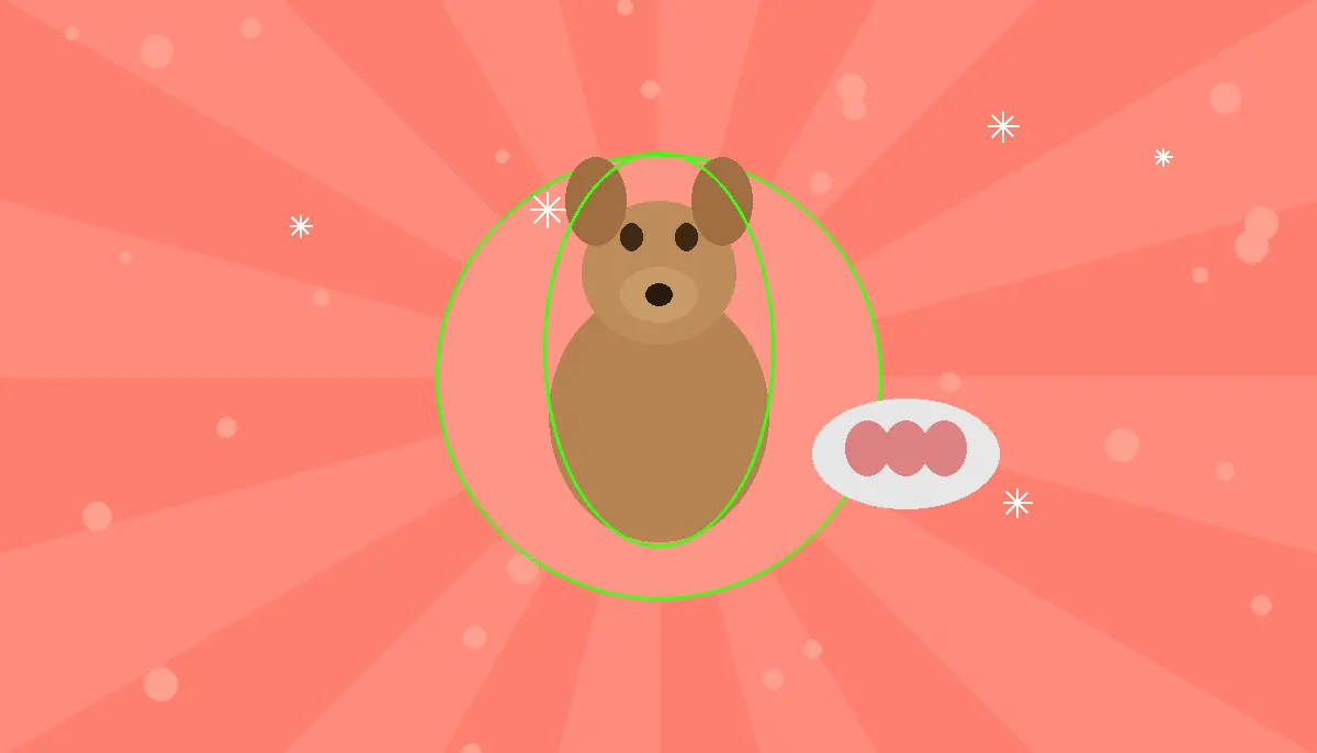 Собака дивиться на тарілку з нарізаною шинкою