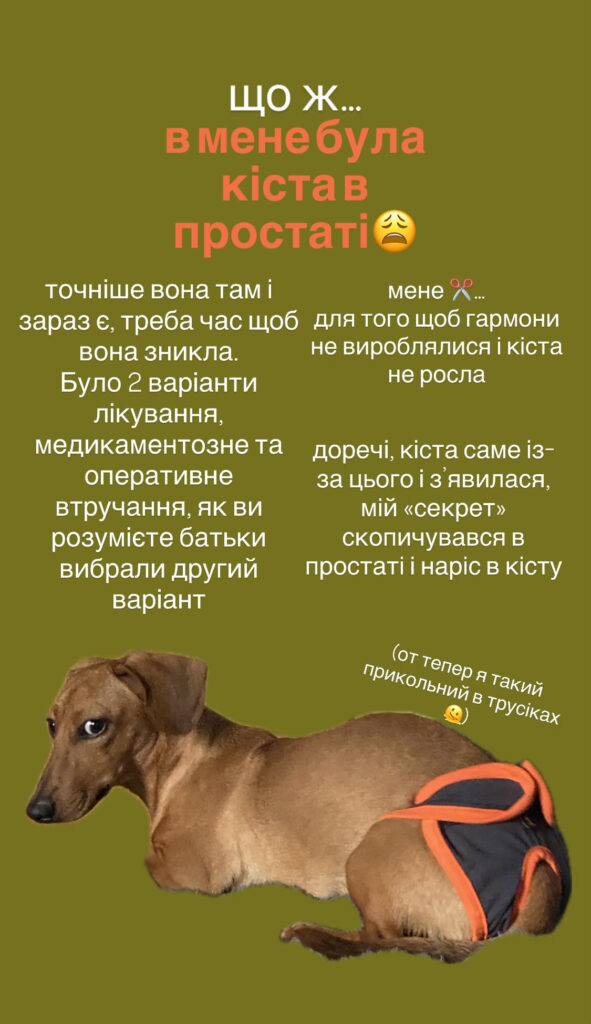 В мене кіста в простаті🤕 - медіа 1 з 2