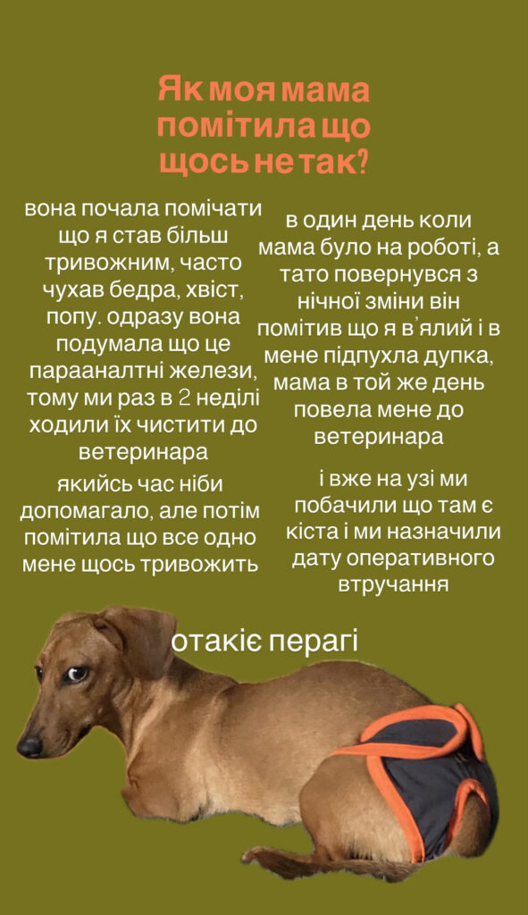 В мене кіста в простаті🤕 - медіа 2 з 2