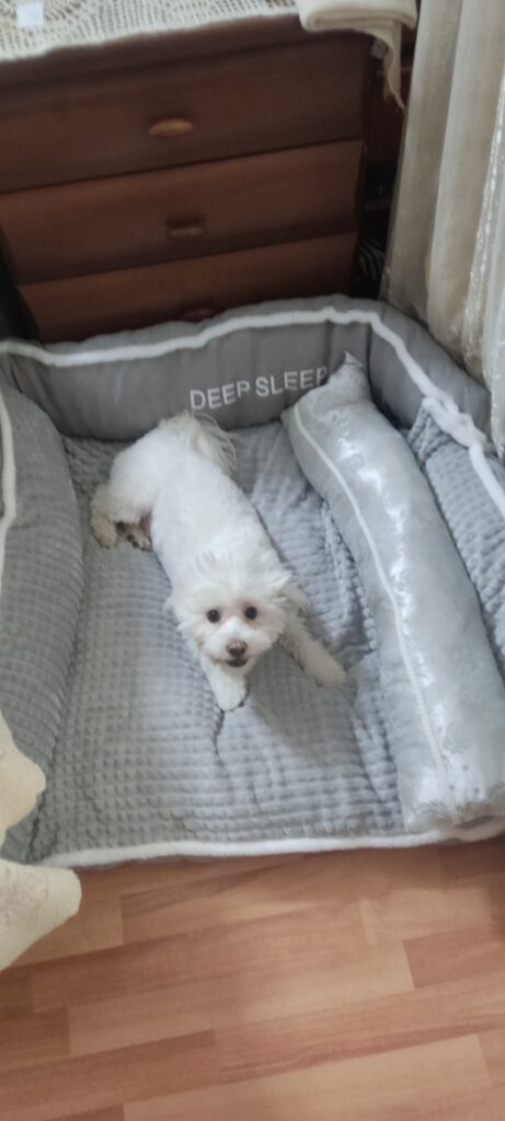 Зображення #1 від Людмила