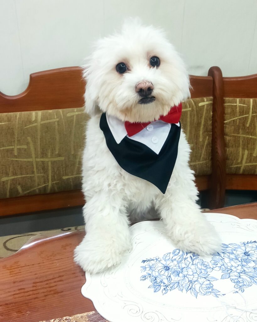 Зображення #1 від Людмила