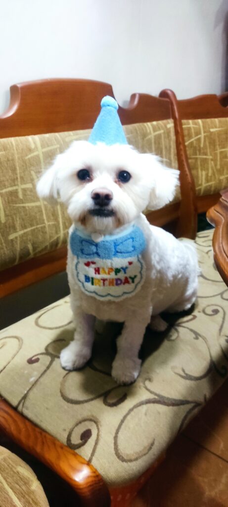 Зображення #1 від Людмила