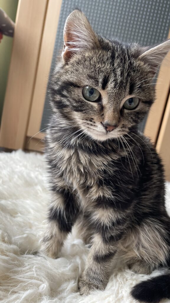 Зображення #3 від Алла