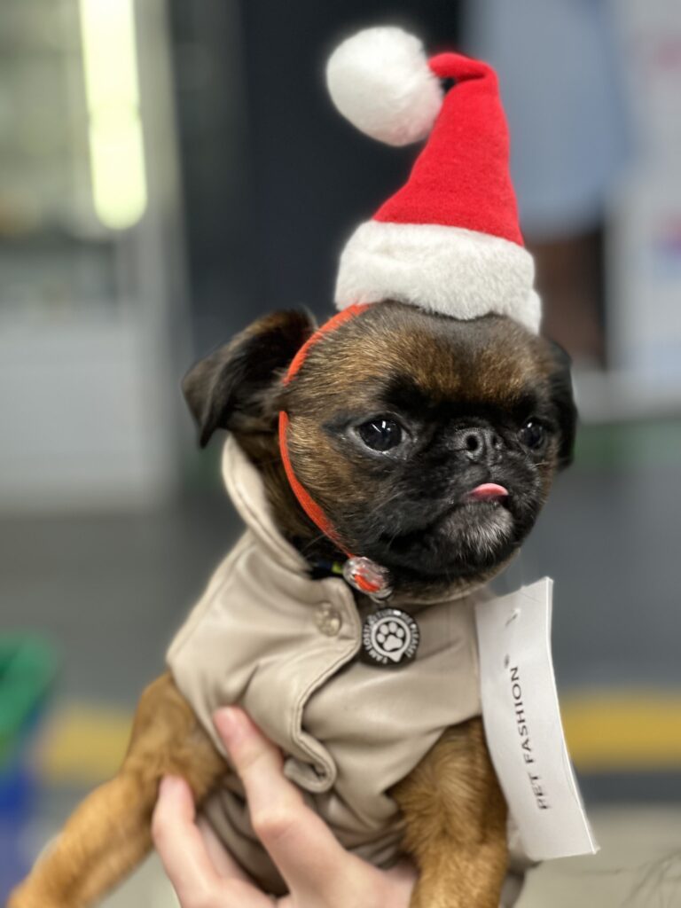 Знайомство Грута та Мартіна - медіа 9 з 9