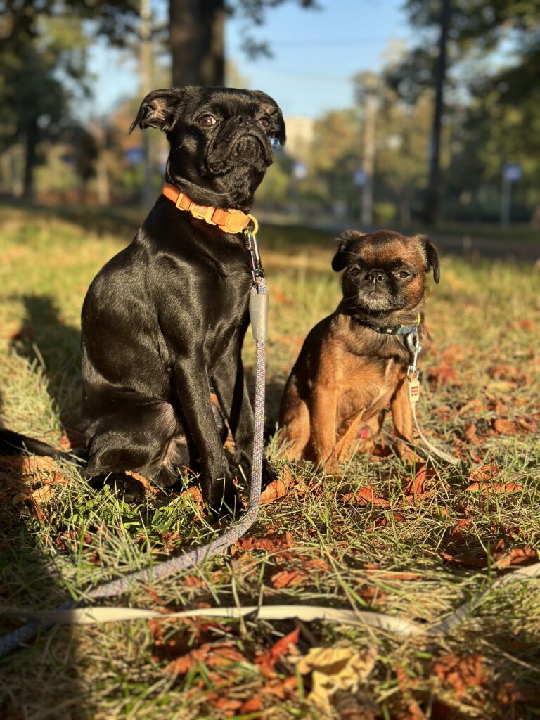 Знайомство Грута та Мартіна - медіа 5 з 9