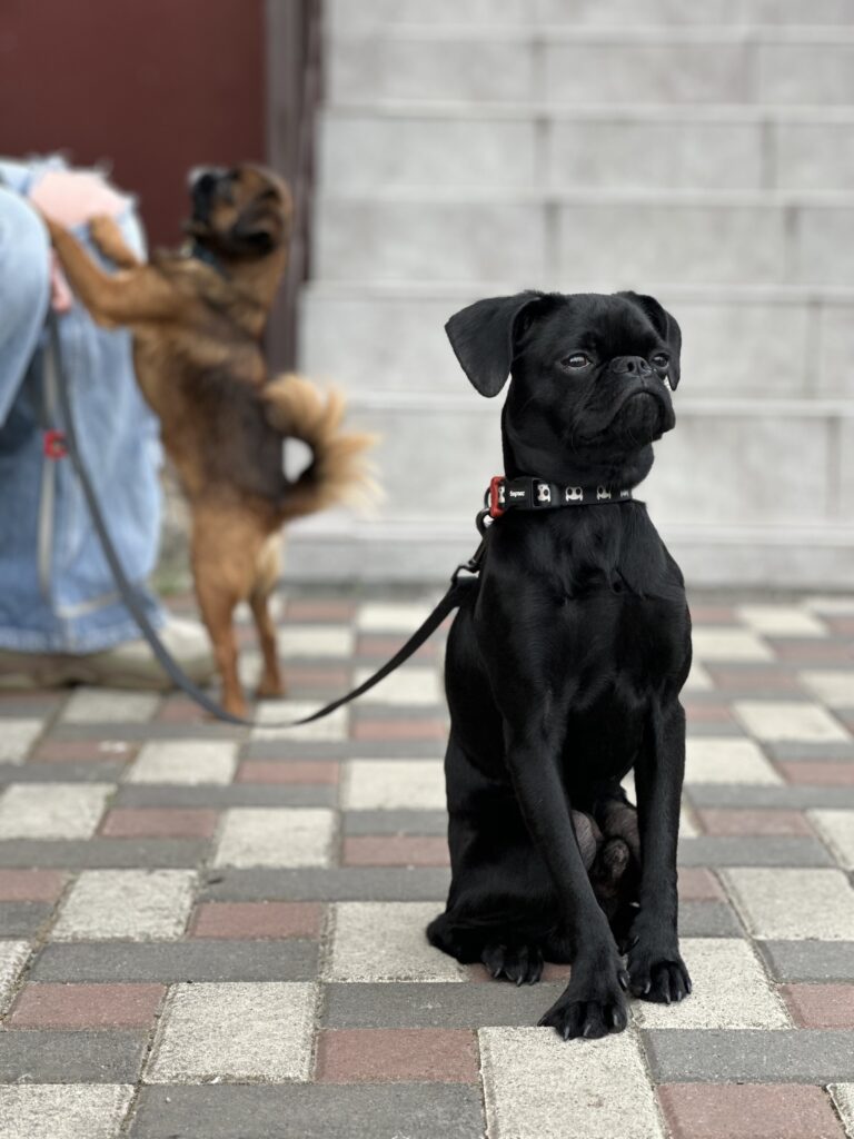 Знайомство Грута та Мартіна - медіа 8 з 9
