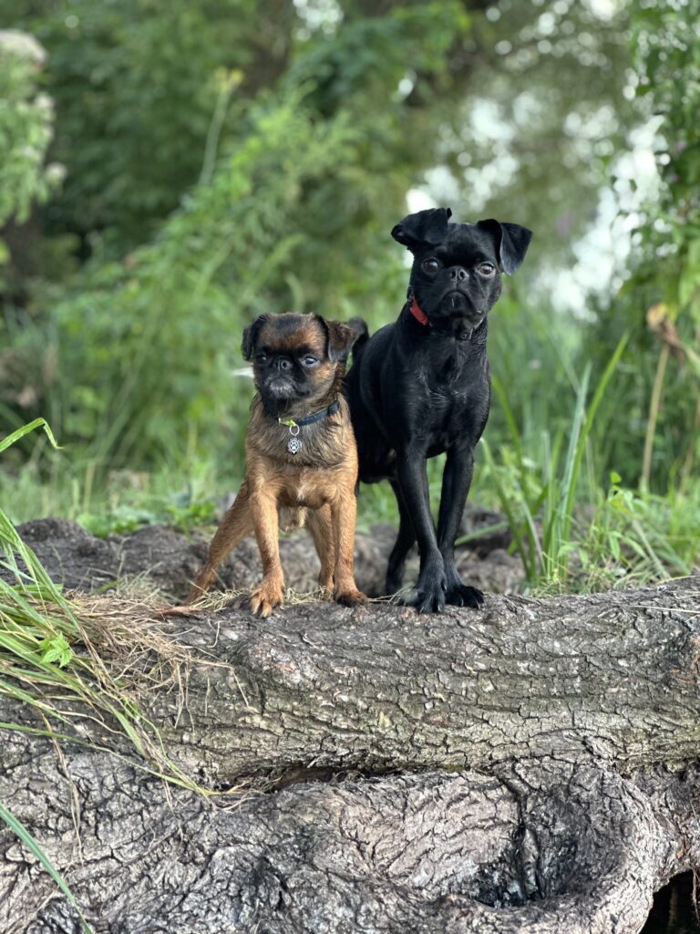 Знайомство Грута та Мартіна - медіа 6 з 9